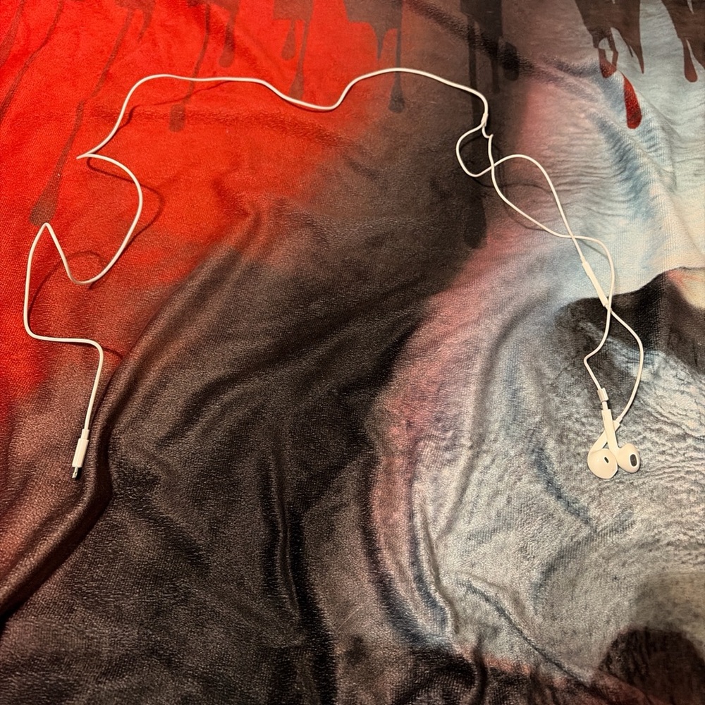 White Wired Earbuds